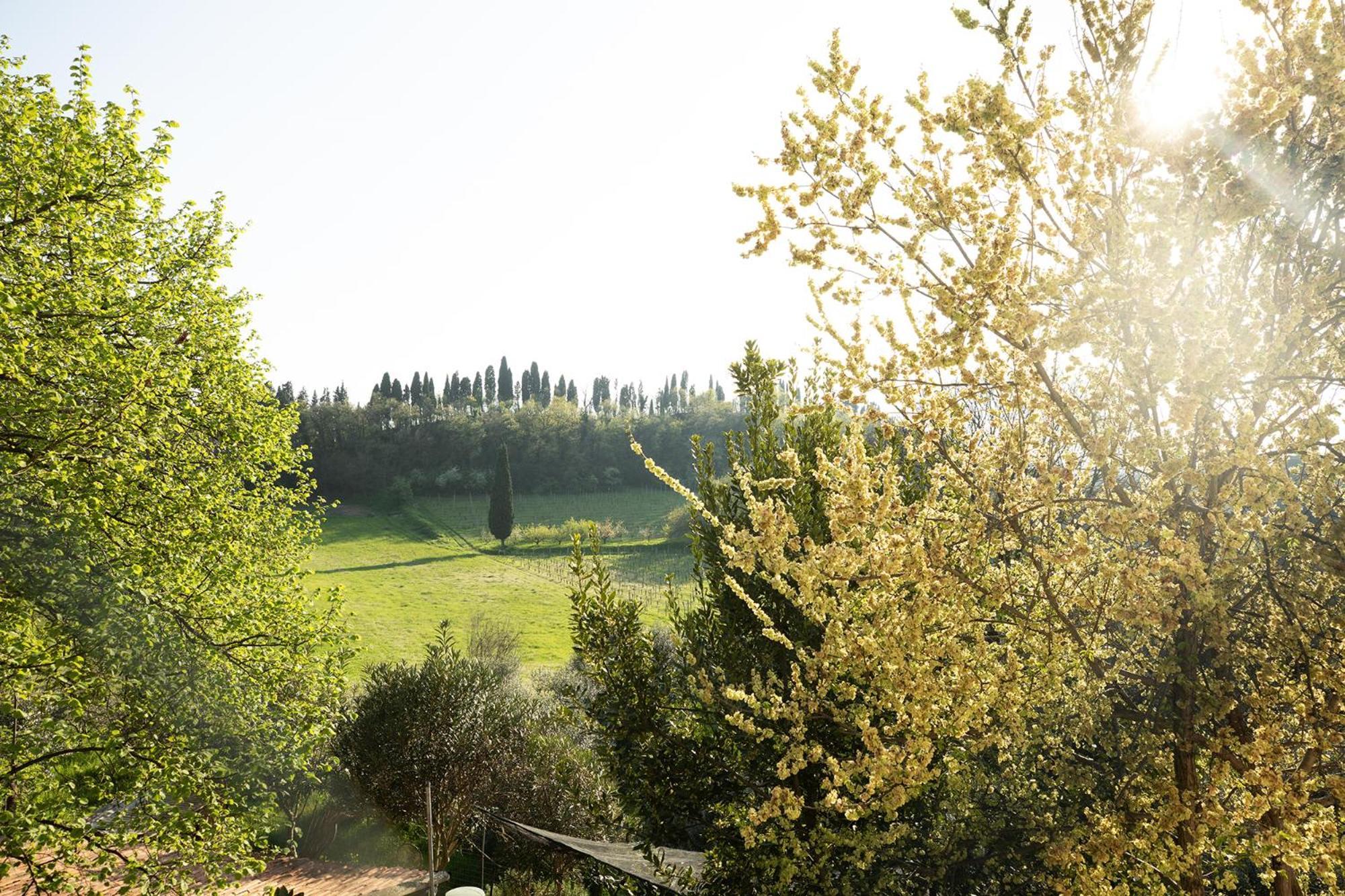 Relais La Rocca Solferino B&B 외부 사진