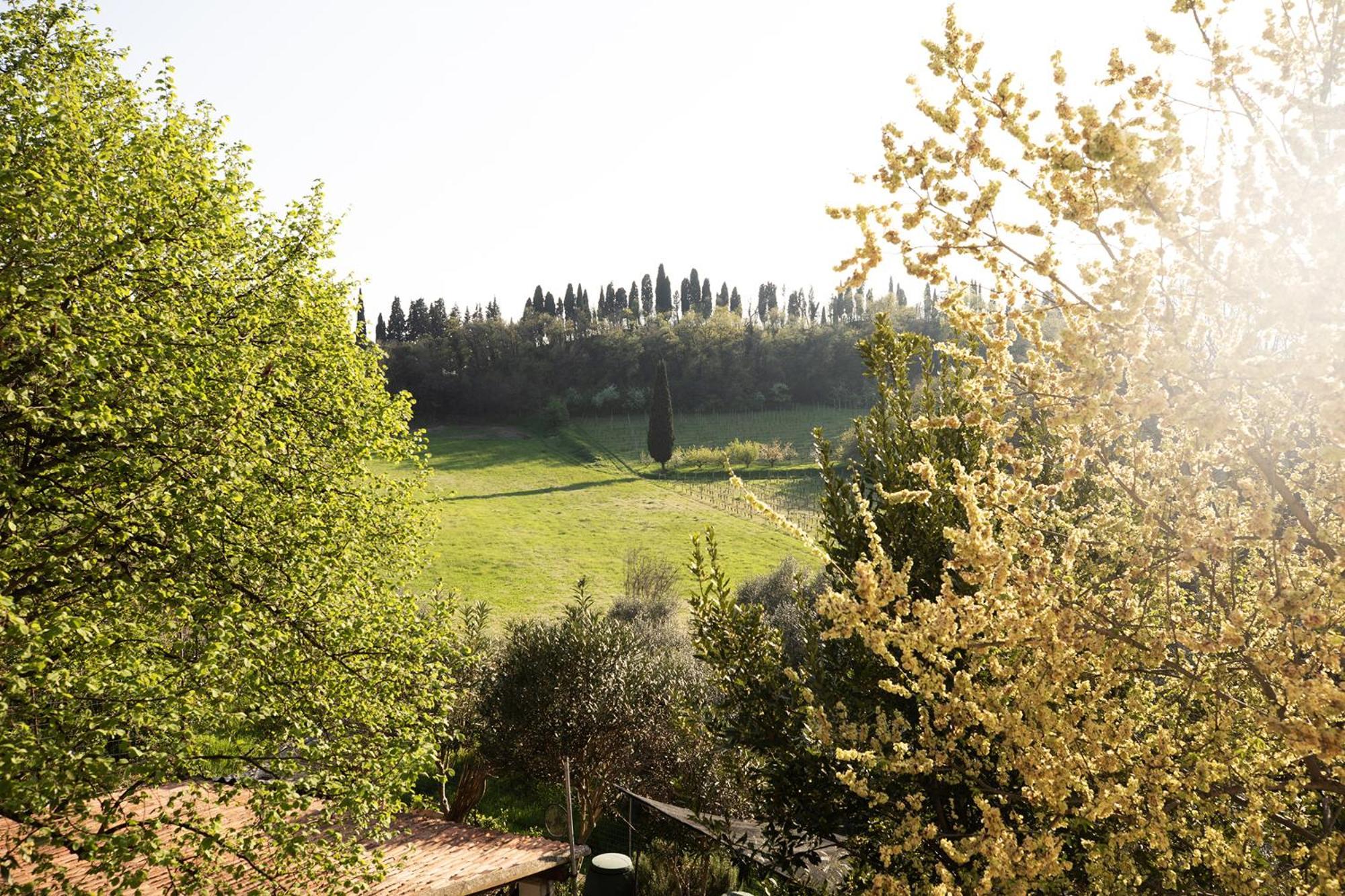 Relais La Rocca Solferino B&B 외부 사진